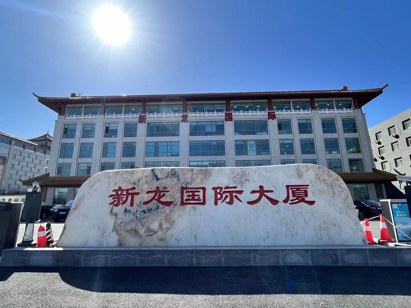 新龙国际大厦